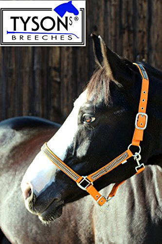 Tysons Breeches Glitzer wie Strass Halfter Nylonhalfter Orange Minishetty Shetty Jährling Pony VB WB EXF (Kaltblut) (VB Vollblut)