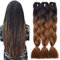 TESS Braids Extensions Braun 60 cm, Jumbo Braids Kunsthaar Zum Einflechten Box Braids Haarverlängerung Zopf 100g/Bündel Ombre Haar Braids Extension (1 Stück-#22 Braun/Schwarz)