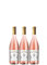 Doppio Passo Primitivo Rosato Puglia Rosewein veganer Wein halbtrocken IGT Italien (3 Flaschen)