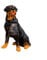 Solar Tiere für Außen Garten, Hunde-Skulptur Solarlampen für Außen Garten Deko Solartierskulptur Gartenfigur Solarleuchten im Freien Tierleuchten Großer Hund Deko mit Solarbeleuchtung,Rottweiler
