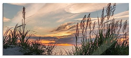 Pixxprint Glasbild Panorama, Wandbild aus Echtglas, Gras am Strand bei Sonnenuntergang, 100x40 cm, inkl. Aufhängung und Abstandshalter