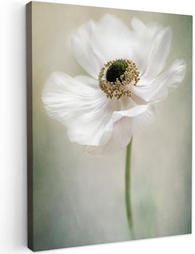 MuchoWow© Wandbilder 60x80 cm Wohnzimmer Wanddeko Blumen Leinwandbild Schlafzimmer Zimmerdeko Fotowand Zimmer Deko Wand Dekoration Wall Art Blumen - Natur - Anemone - Weiß
