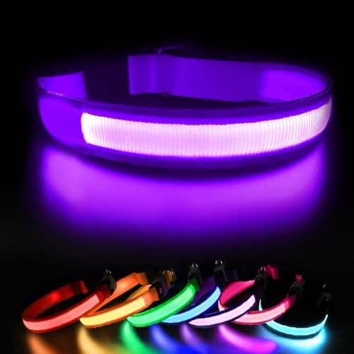 Leuchthalsband Hund Aufladbar, Hundehalsband Leuchtend, LED Halsband für Hunde Leuchtband Einstellbar Wasserdicht mit 3 Lichtmodi Sicherheit Hundehalsband für Kleine Mittlere Große Hunde, Lila-M
