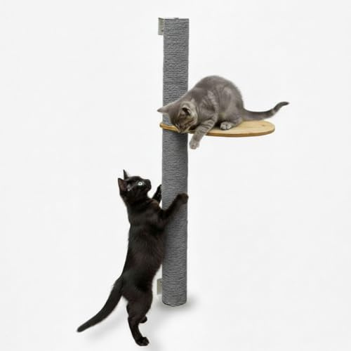 eyepower 96 cm Wandkratzbaum Luna mit Plateau zum Klettern - Kratzbaum Groß für Katzen - Kletterbaum mit Wandhalterung - Katzenbaum zur Wandmontage - Kletterwand Katze mit Kratzstamm Kratzsäule Wand