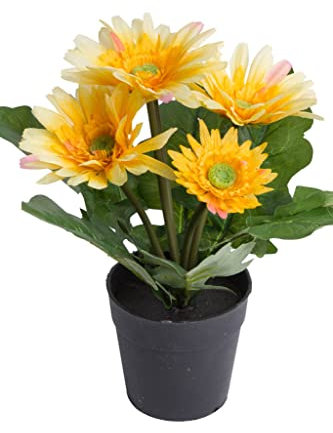 Botanic-Haus künstliche Gerbera (Gerberabusch) mit 5 Stielen im schwarzen Kunststofftopf (gelb)