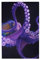 Purple Octopus Puzzles sind geeignet für Erwachsene und Jungen und Mädchen. 1000-teiliges Puzzle