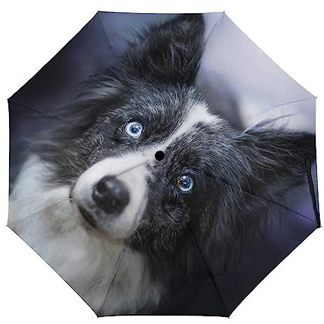 Regenschirm Sturmfest Schlauer Hund Sonnenschirm Automatisches Öffnen Und Schließen Für Herren Und Damen