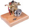 Generic Verbrennungsmotor Modell, 1.6cc 1-Zylinder Viertaktmotor Bausatz Horizontaler Mini Wassergekühlt Benzinmotor Engine Motorbaukasten mit Holzsockel, Physik Experimentierspielzeug Erwachsene