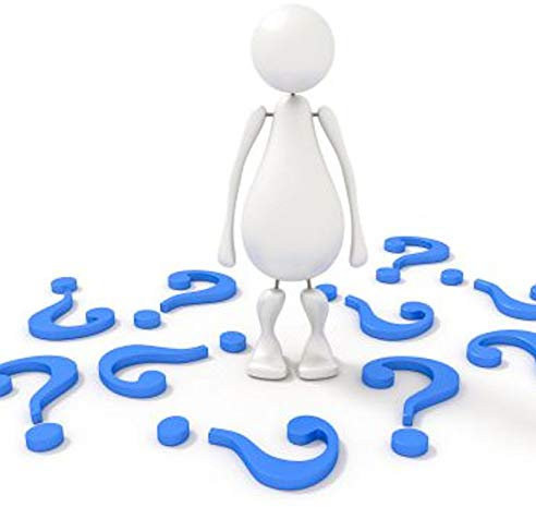 Waldrebe Ashva 40-60cm - Clematis