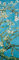 1art1 Vincent Van Gogh Blühende Mandelbaumzweige, 1890, 1-Teilig Fototapete Poster-Tapete 250x79 cm