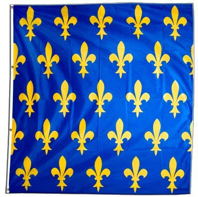 Digni Bandiera Francia Stemma Giglio, Blu - 150 x 150 cm Sticker Gratis