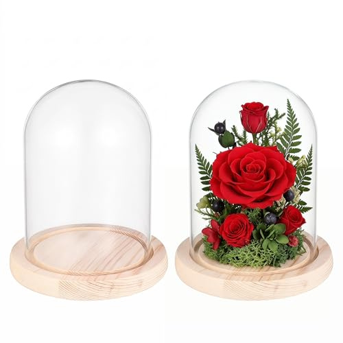 FOMIYES Glasglocke, Tischdekoration, Glocke für Rosen, antike Sammlerstücke, dekorative Vitrine, Holzsockel, 10 x 14 cm