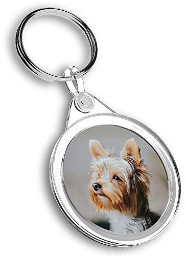 1 x porte-clés photo – Yorkshire Terrier petit chien | porte-clés | breloque | #46520, multicolore, M