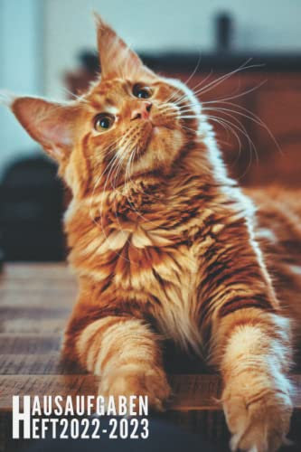 Hausaufgabenheft 2022 2023: Katze - Schülerkalender Für Grundschule, Mädchen, Jungen, Teenager Mit Datum | Platz Für Aufgaben, Stundenplan, Notizen / Schulplaner Mit Wochenkalender