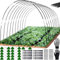 Shengruili Túnel para plantas, túnel de lámina para bancal, 50 unidades, para bancal alto, para invernadero