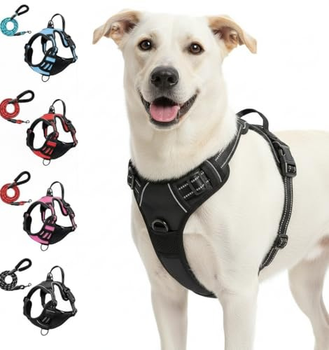 Anti-Zieh-Geschirr, Anti-Pull Dog Harness with Chest Clip Front and Back Clip, Anti-Zieh Hundegeschirr mit Step-in Design, Atmungsaktiv & Gepolstert, Für Hunde jeder Größe (Schwarz, XL)