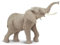 Safari Ltd Wildlife Wonders African Elefant