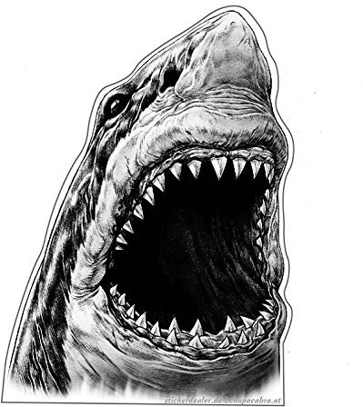 Aufkleber Weißer Hai schwarz/weiß Sticker Tiere Meer Autoaufkleber Motorrad Tuning ca. 12x8 cm Ozean Raubfisch Monster Shark Fische Angeln Fischen Bootsbeschriftung
