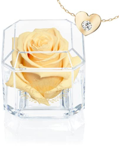 Eternal Petals A Real Rose That Lasts Years, Handmade in UK – Gold Solo with Gift Box, 18 ct Gold plated Heart Necklace with Clear Crystal and Love Message Greeting Card (Champagne)