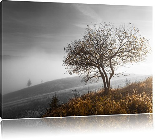 Pixxprint Einsamer Baum auf Berg B&W, Größe: 100x70cm, Leinwandbild, fertig gespannt, Wandbild, Dekoration, Kunstdruck, kein Poster