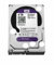 Western Digital WD40PURX Purple