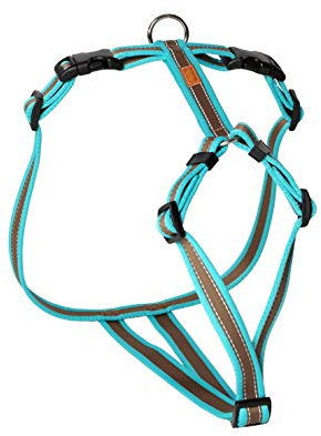 Feltmann Hundegeschirr - Soft-Grip, türkis/braun, Bauchumfang 60-80 cm, 25 mm Bandbreite