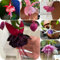 25 pcs Oleander Pflanzen Samen geschenke für gartenfreunde Oleander Samen Winterhart deko blumen wohnzimmer deko, garten geschenke für frauen wildblumensamen mehrjährig Gartengeschenke,