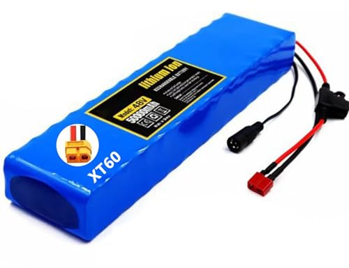 Batería de Litio de 48V 50Ah Ebike Batería de Scooter 48V de Iones de Litio con Cargador Batería Litio Bicicleta Electrica para 200W 350W 500W 750W Motor