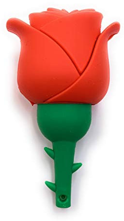 H-Customs Rose Rouge Fleur d'amour clé USB 16 Go USB 2.0