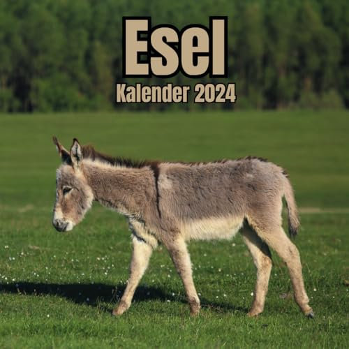 Esel Kalender 2024: 14-Monats , November 2023 bis Dezember 2024, für Zuhause und Büro für Tierliebhaber