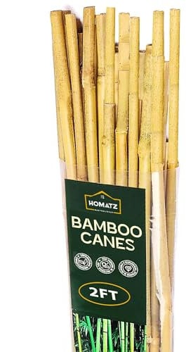 Homatz Bamboo Caness 2FT to 6FT Heavy Duty Plant Support Garden Canes 10 Pack, 2ft / 60cm Sustainable Garden Solution (6mm-8mm) Thick Eco-Friendly Bamboo Sticks for Plant Support & Growth