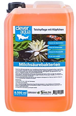 CleverAqua Milchsäurebakterien 6500ml probiotische Filterbakterien/Teichbakterien ideal für alle Garten, Koi und Schwimmteiche, reduziert Algen & Nitrit im Teich