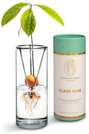 Botanical Hippie Avocado-Anzuchtvase, einfaches Saatgut, Sprossen-Starter-Baum-Anzucht-Set, Anzuchtset, lebende Pflanzen, Anzucht, Geschenk für Frauen, Mädchen, Mutter, Geburtstag, beste Freundin,