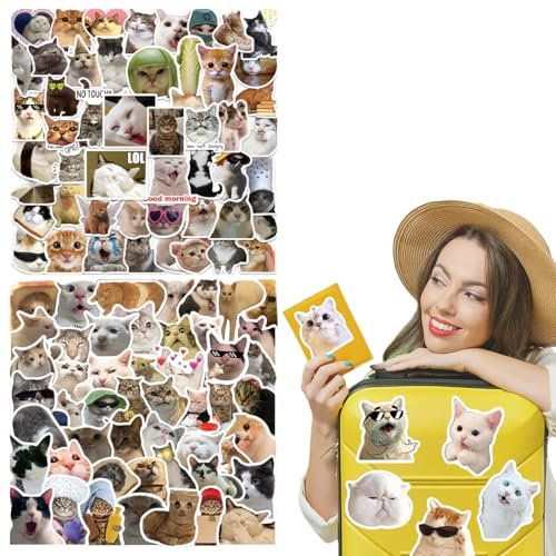 BHIPKOT Cat Meme Aufkleber für Laptop(100 PCS) Geschenk für Kinder Jugendliche Erwachsene Jungen Meme Stickers Wasserdicht Vinyl Aufkleber für Scrapbook Skateboard Auto Gepäck