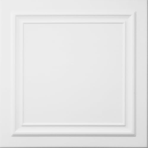 DECCART 3D Wandpaneele Weiß 50x50 cm 48 Stück | 12 m², Paneele Wand Wall Panels Deko Wandverkleidung Innen Panel Deckenverkleidung Decke Deckenpaneele Platten EPS