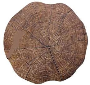 Sets de Table Tapis de Salle à Manger Circulaire Imitation Grain Bois, Tapis Tasse Durable, Table 4 pièces