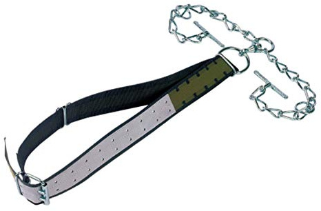 Bullenanbindung 7 cm, kompl. mit dopp. Kette