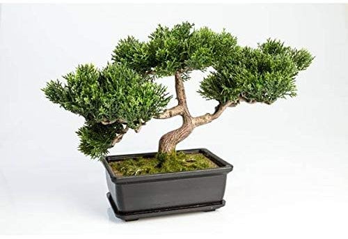 artplants.de Künstlicher Bonsai Ceder, 120 Zweige, im Topf, 25cm - Hochwertiger Kunstbonsai