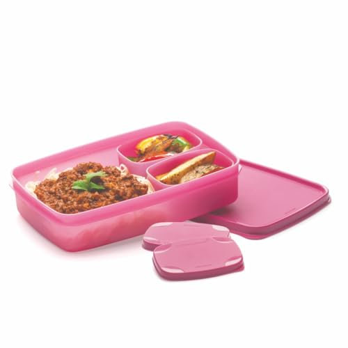 Signoraware 3er Set to Go Lunchbox Clevere Pause 850ml Brotdose mit Abtrennung Eco+ Schule 850ml + 2 x 100ml pink