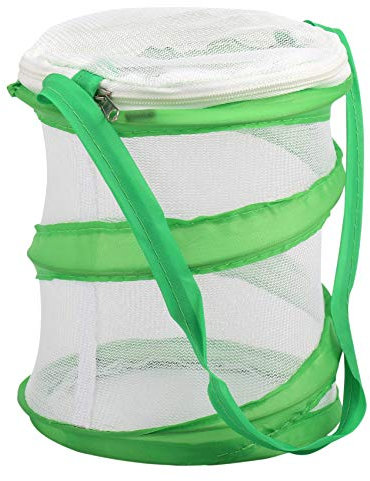 Eduuyvee Kleine Gottesanbeterin Stick Insect Butterfly -Up Cage GehäUse GehäUse