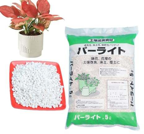 Perlite for Plants Natural Lightweight Texture Fine Particles
