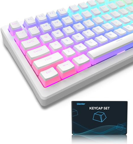 Womier XVX Pudding-Tastenkappen, PBT-Tastenkappen, 141 Tasten + 24 Tasten, benutzerdefiniertes Tastenkappen-Set, OEM-Profil, universelle Kompatibilität für 100%, 75%, 65%, 60% Tastatur (weiß)
