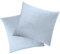 Soifox 2er-Set Kissenbezug 40x40 cm - Samt Zierkissenbezüge Superweich Flauschig Kuschelig Kissenbezüge Dekorative Deko Kissen Sofakissen Lendenkissen Wurfkissenbezug Schlafzimmer Kissenhülle Hellblau