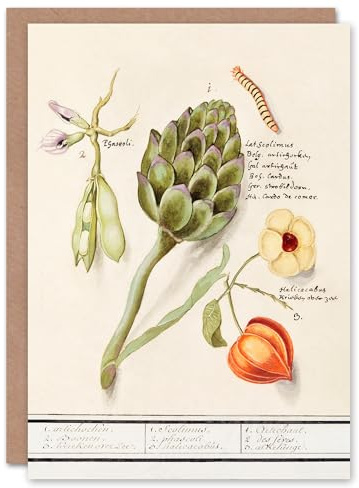Artery8 Anselmus de Boodt Art Card Artichoke Broad Beans Groundcherry