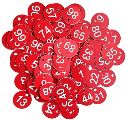Nummernschilder aus Kunststoff 500/1000pcs 1-500/1000 Key Hand Cards Number Tags Engraved Labels Cabinet Coding Storage Organizer(1-1000 Red Withe)