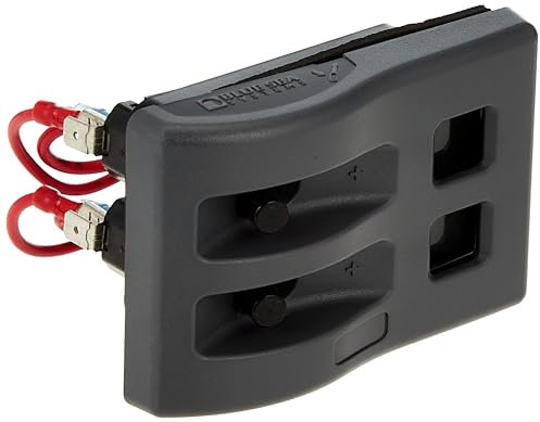 Blue Sea Systems 4302 Switch Panel WD 12VDC 2 POS CP, Fuses