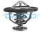 DAYCO Termostato refrigerante DT1059V