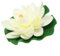 Weiße künstliche Lilie, 18 cm, künstliche Seerose, Lotusblume, schwimmende Lotusblume, Teich, Aquarium, Dekoration, mehrfarbig