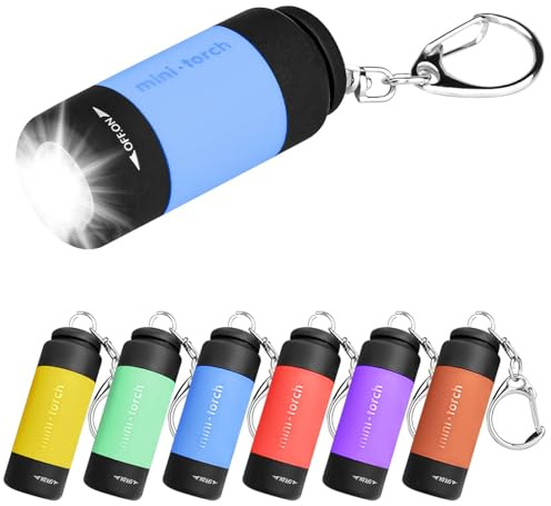 Lot de 6 mini lampes de poche LED, lampe de poche USB rechargeable IPX8, petites lampes de poche étanches avec porte-clés, lampes de poche pour enfants pour camping, barbecue, extérieur, urgence.
