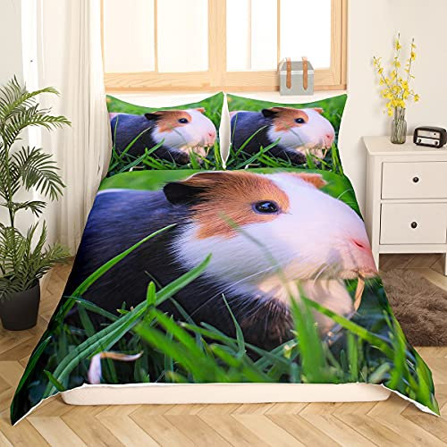 Loussiesd Meerschweinchen Bettwäsche Set 135x200cm Süßes Meerschweinchen Bedrucktes Bettbezug Set für Kinder Jungen Mädchen 3D Tiermuster Betten Set Leichte Bettwäsche 2St